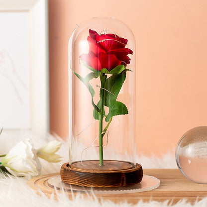 Galaxy Rose Eternal Lamp Premium