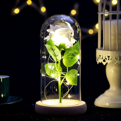 Galaxy Rose Eternal Lamp Premium