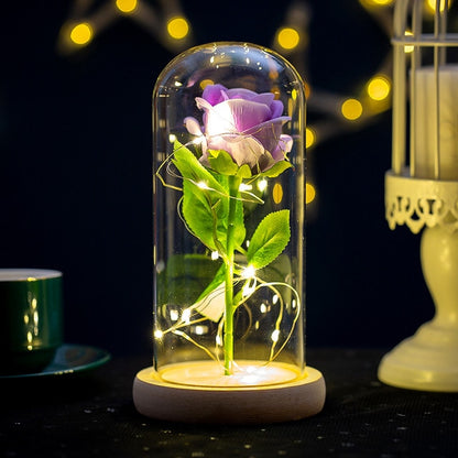 Galaxy Rose Eternal Lamp Premium