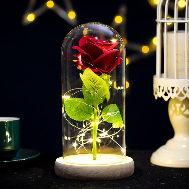 Galaxy Rose Eternal Lamp Premium