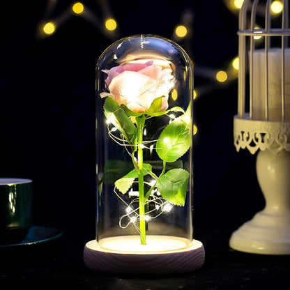 Galaxy Rose Eternal Lamp Premium